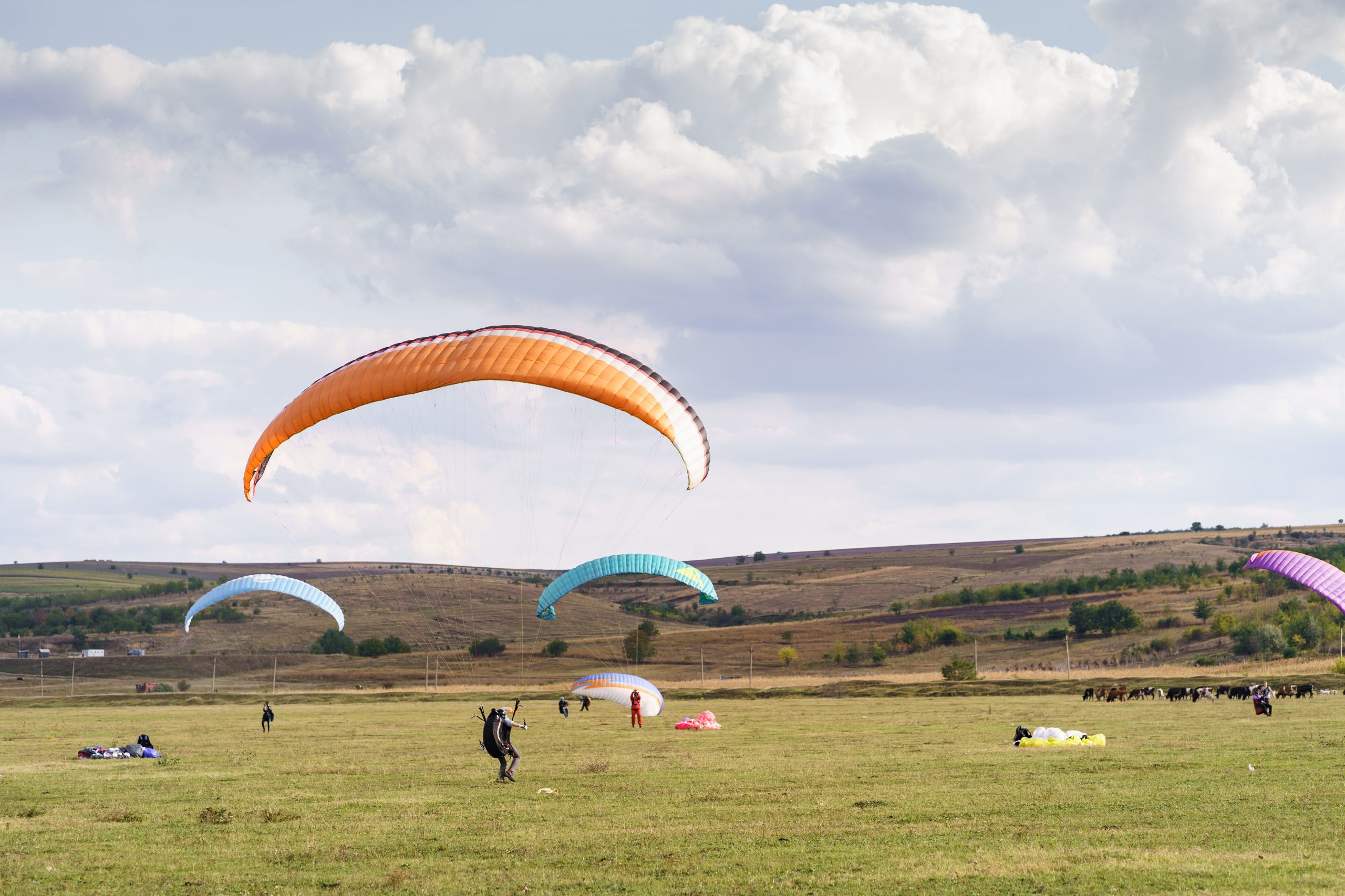 Deux parapentes en vol au-dessus d'un relief verdoyant, sous un ciel bleu parsemé de cumulus